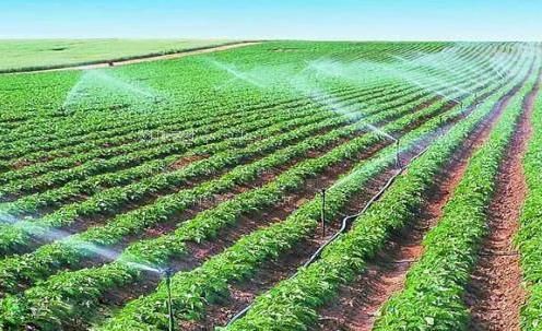 在线观看尻屄视频农田高 效节水灌溉